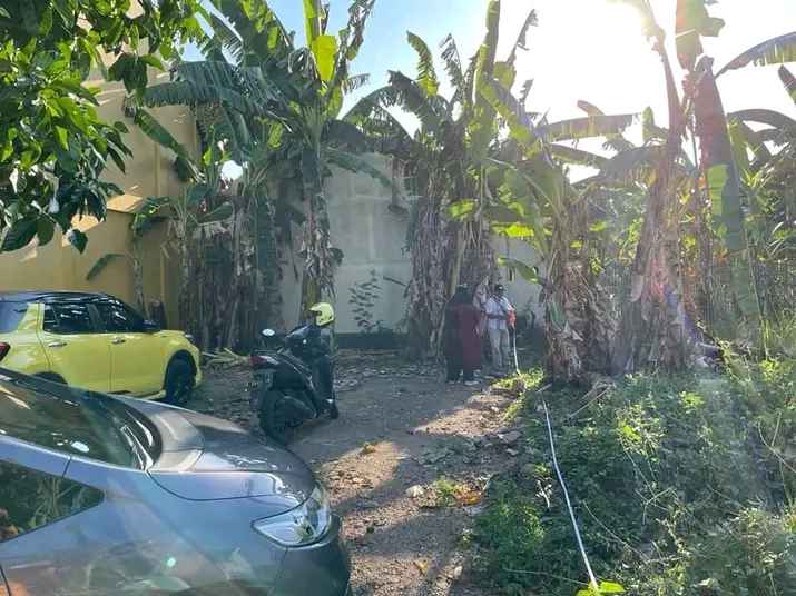 Jasa Bangun Gedung Walet